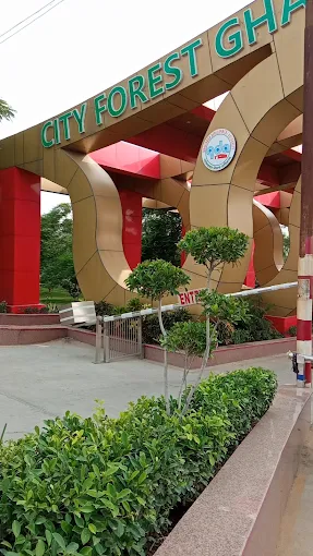 JUNGLE ADVENTURE CITY FOREST