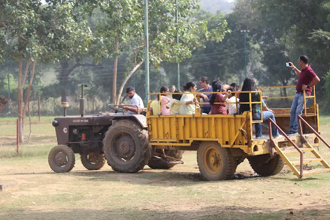 Vishalgarh Farms: The Ultimate Family Day Out Destination in Gurugram (Save 35% with Coupon Code BMVVGF35)